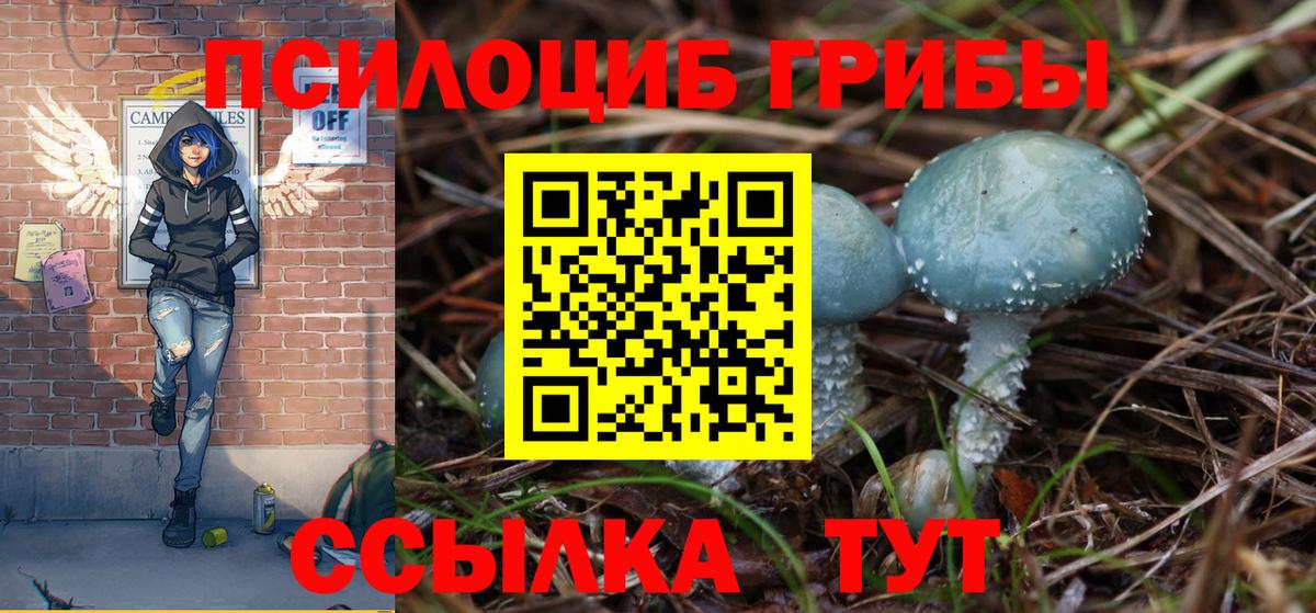 Галлюциногенные грибы ЛСД  Вход с VPN  Псилоцибиновые грибы Psilocybine cubensis  Междуреченск 