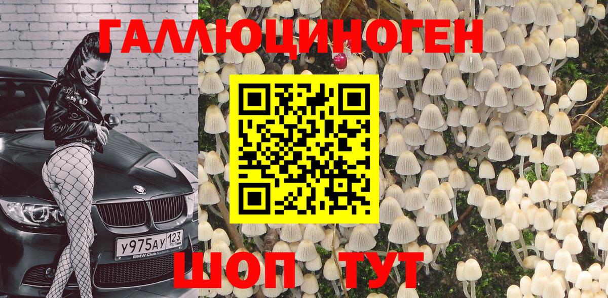 Псилоцибиновые грибы ЛСД Междуреченск