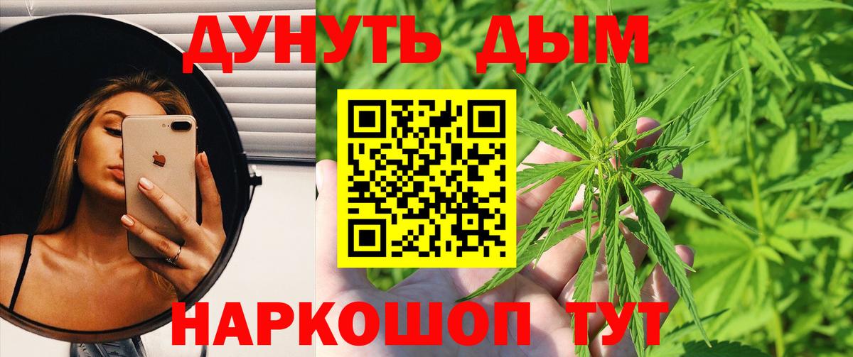 Каннабис конопля Междуреченск